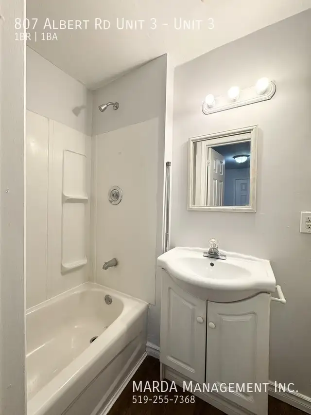 COZY 1 BED/1 BATH UNIT IN WALKERVILLE - ALL INCLUSIVE! - Photo 8