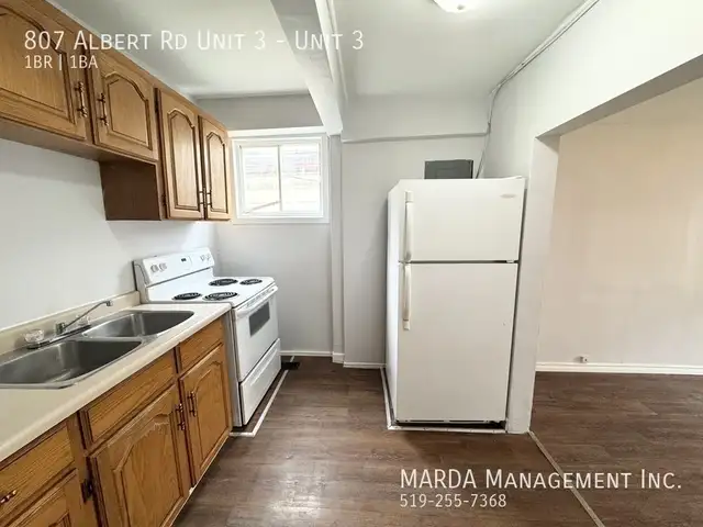 COZY 1 BED/1 BATH UNIT IN WALKERVILLE - ALL INCLUSIVE! - Photo 14