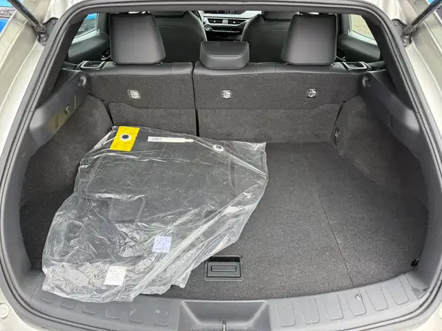 2021 Lexus UX250 Hybrid - Photo 7