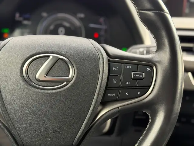 2021 Lexus UX250 Hybrid - Photo 17