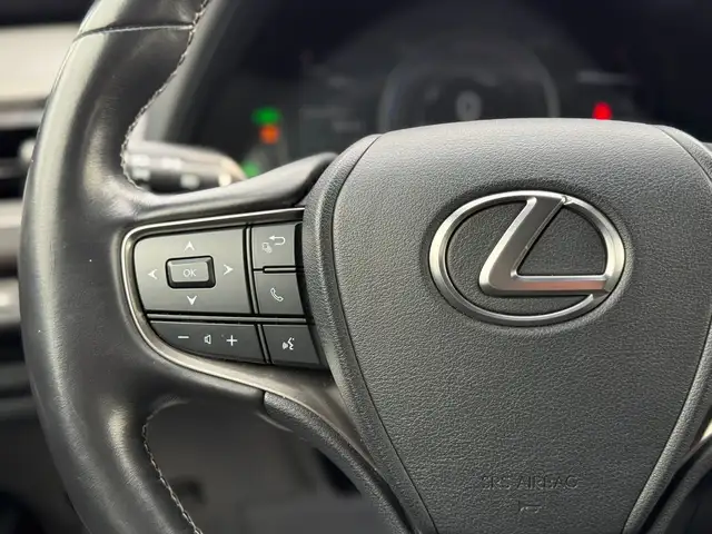 2021 Lexus UX250 Hybrid - Photo 18