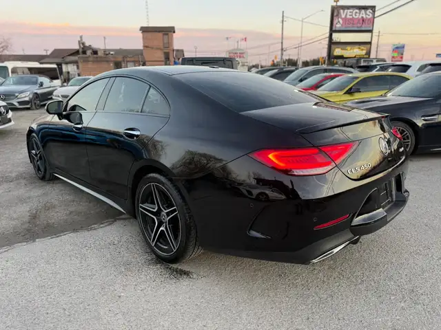 2019 Mercedes-Benz CLS-Class CLS 450 4Matic - Photo 4