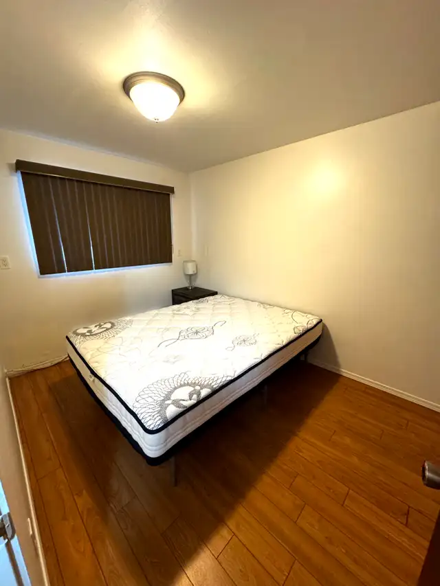 37 Moore Street - Photo 2