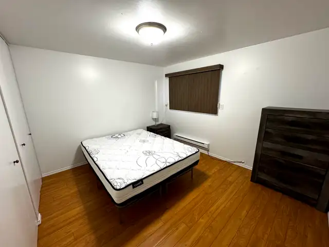 37 Moore Street - Photo 3