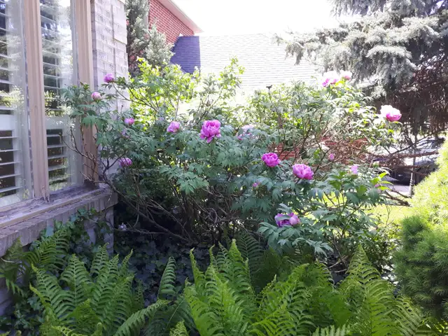 Private xclean  quiet  queensize  room in  exe home - Photo 9