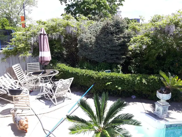 Private xclean  quiet  queensize  room in  exe home - Photo 12