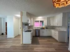 One bedroom in Downtown Kelowna for Rent