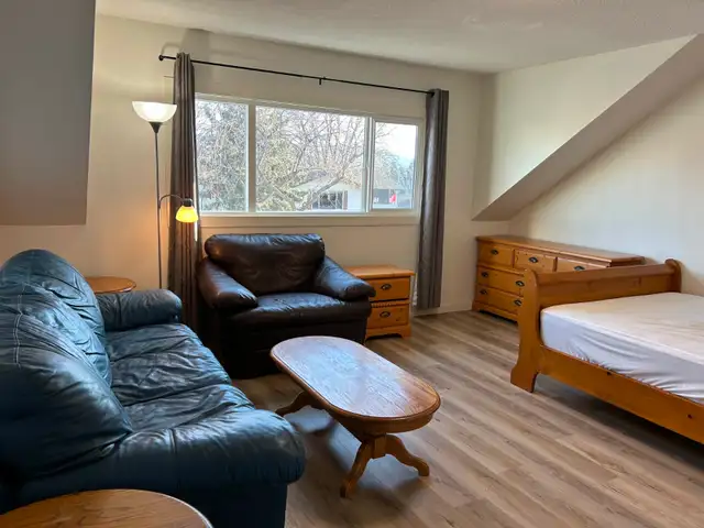 One bedroom in Downtown Kelowna for Rent - Photo 5