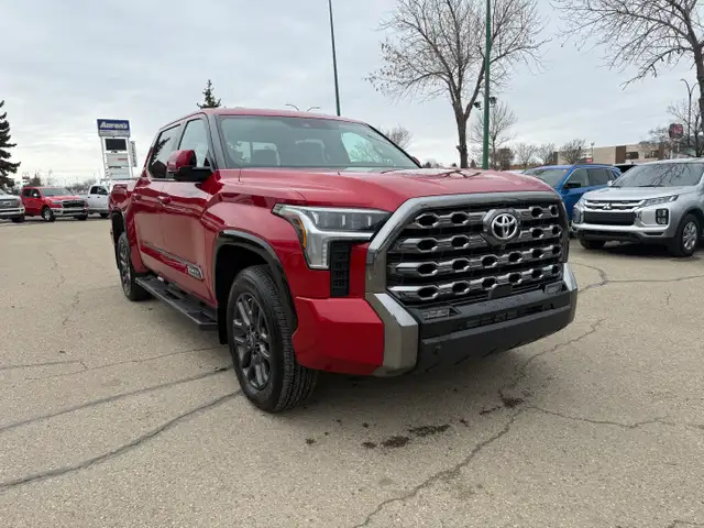 2025 TOYOTA TUNDRA PLATINUM CREWMAX - Photo 3