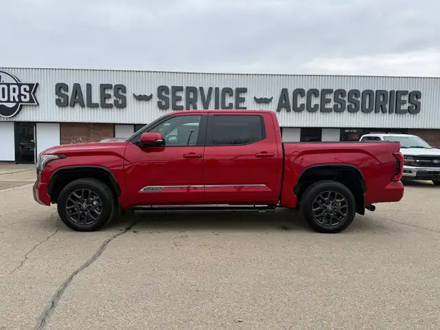 2025 TOYOTA TUNDRA PLATINUM CREWMAX - Photo 8