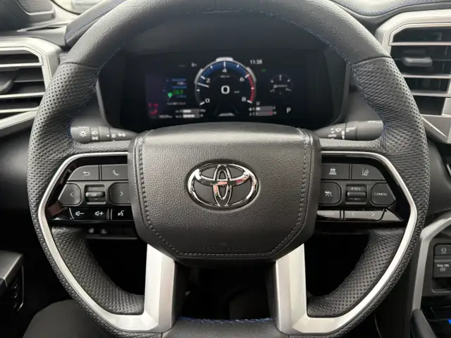2025 TOYOTA TUNDRA PLATINUM CREWMAX - Photo 13