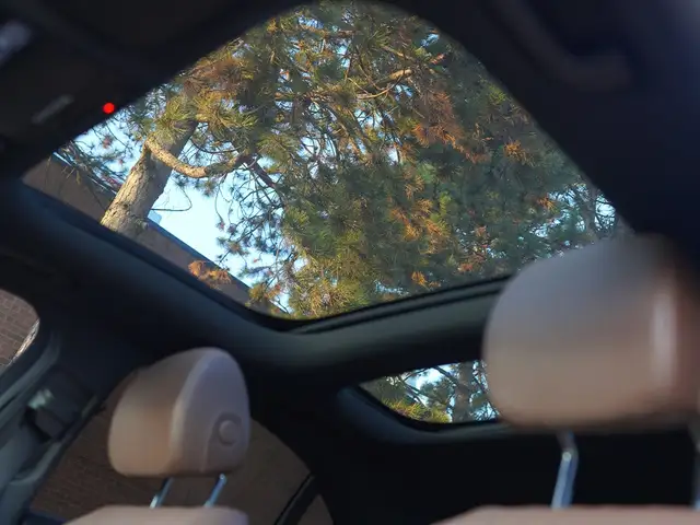 2019 Mercedes-Benz E-Class E300, HUD, Adaptive Cruise Control, D - Photo 38