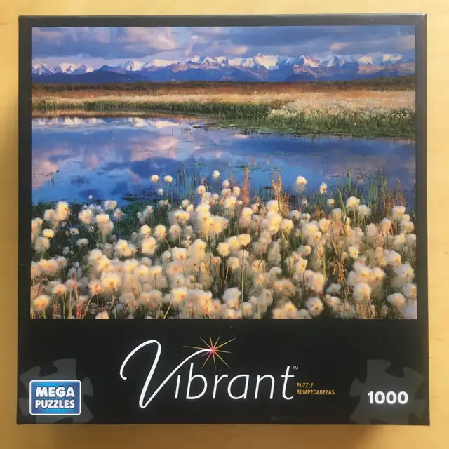 Casse-têtes (10 CT), 1000 pièces (no11) - Photo 8