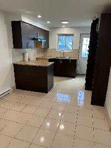 4.5 A MONTREAL-NORD COMPLÈTEMENT RÉNOVÉ TRANQUILLE