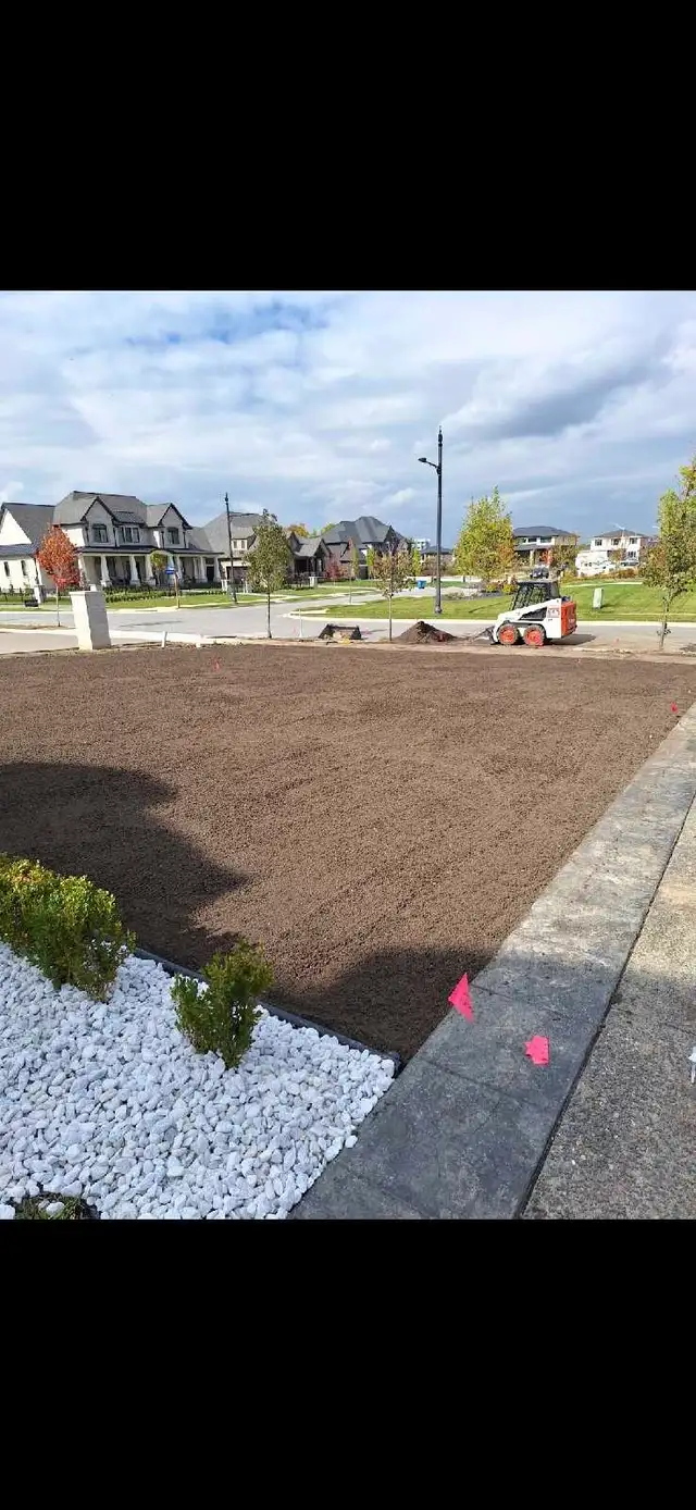landscaping lawn care sod yard clean up trimming - Photo 3