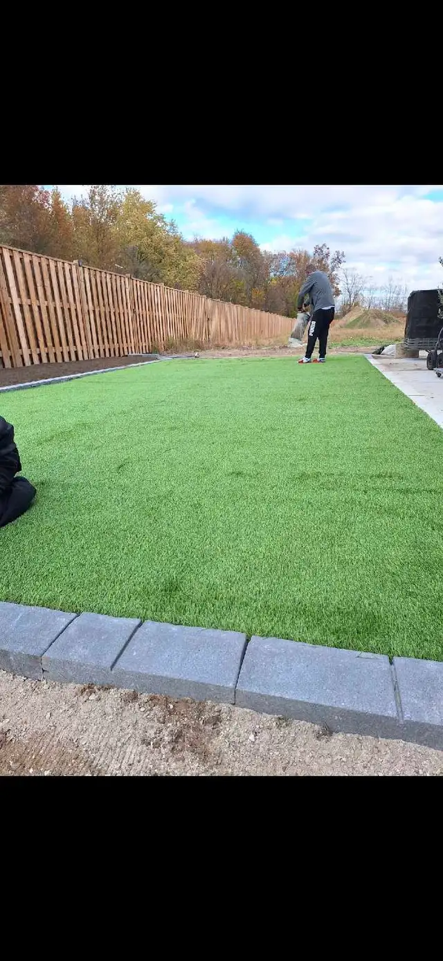 landscaping lawn care sod yard clean up trimming - Photo 5