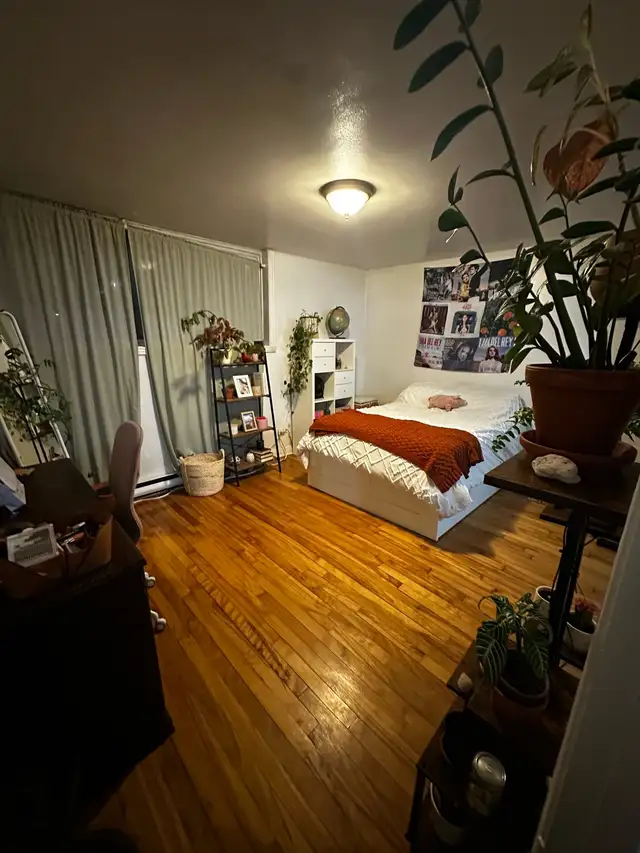 Angus-Rosemont-Hochelaga-Maisonneuve - Photo 4