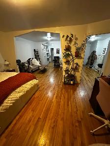 Angus-Rosemont-Hochelaga-Maisonneuve - Photo 6
