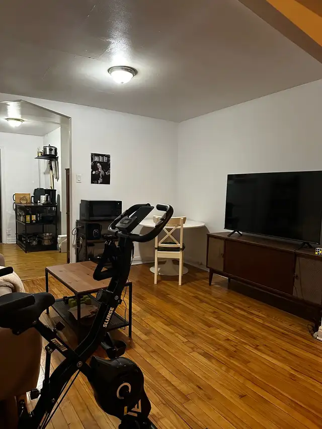 Angus-Rosemont-Hochelaga-Maisonneuve - Photo 8