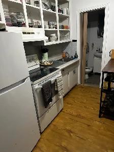 Angus-Rosemont-Hochelaga-Maisonneuve - Photo 9