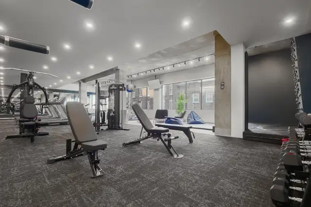 3 ½ entièrement meublé à louer Saint-Jean-Baptiste juillet 2026 - Photo 8