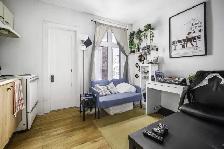 Loft à louer Montcalm / Saint-Sacrement juillet 2026