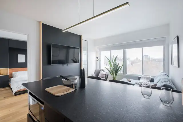 3 ½ entièrement meublé à louer Saint-Jean-Baptiste juillet 2026 - Photo 2