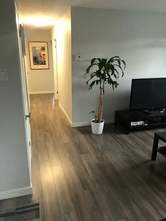 Rénové 4 1/2   Frigo , Pole et bbq inclus - Photo 7