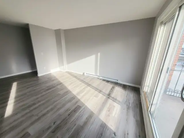2 BR - 1 BA - Oshawa - Photo 2