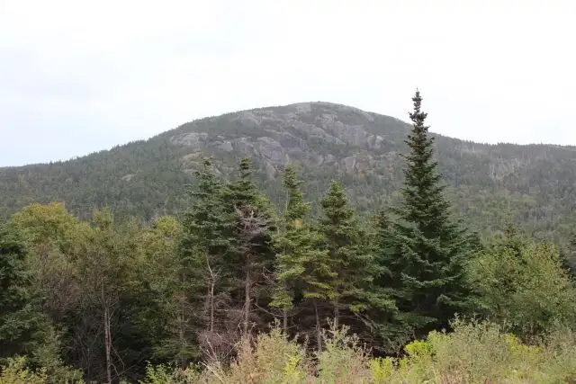 Land-Beachy Cove Brook & Hill as Your Backdrop! - Photo 5