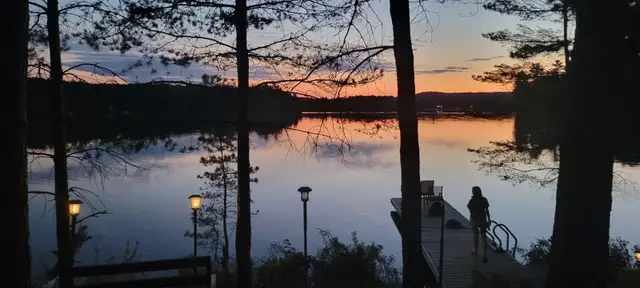 COTTAGE FOR RENT.1000FT WATER FRONT.HALIBURTON.ONT BLACK LAKE. - Photo 3