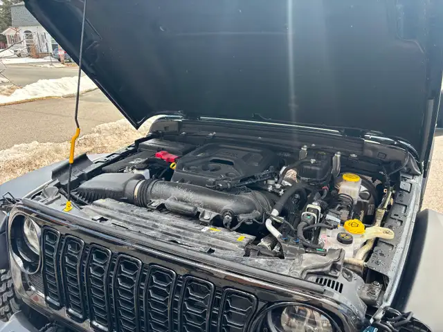 Jeep wrangler for sale - Willys - Photo 6