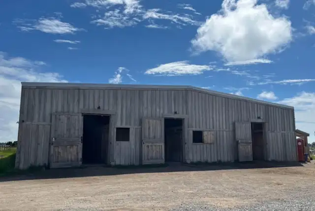 Full Care Horse Board