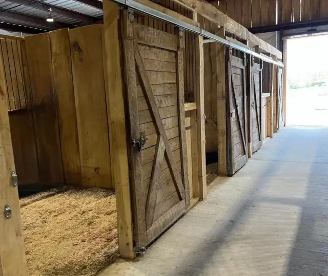 Full Care Horse Board - Photo 2