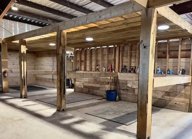 Full Care Horse Board - Photo 4