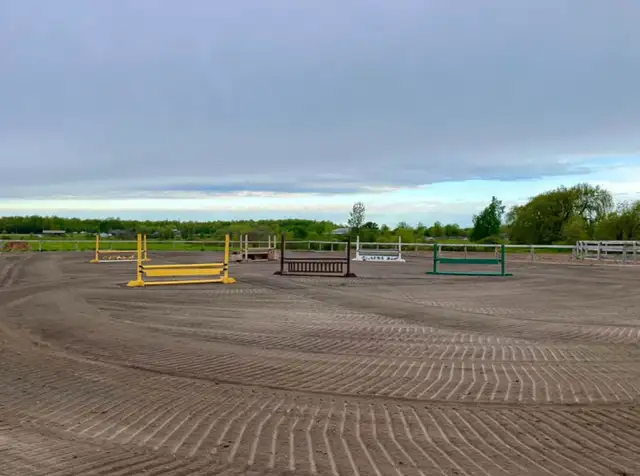 Full Care Horse Board - Photo 6