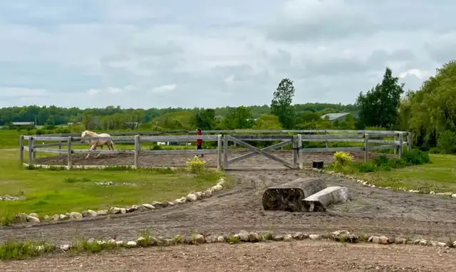 Full Care Horse Board - Photo 7