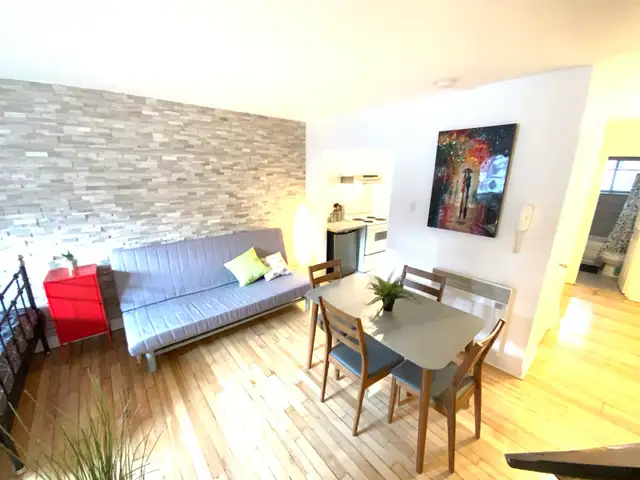 Superbe petit studio ! Rosemont 5 minutes du plateau !