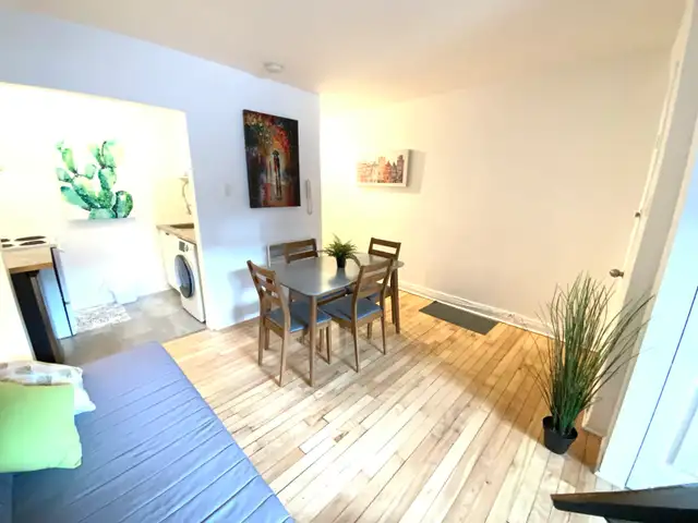 Superbe petit studio ! Rosemont 5 minutes du plateau ! - Photo 2