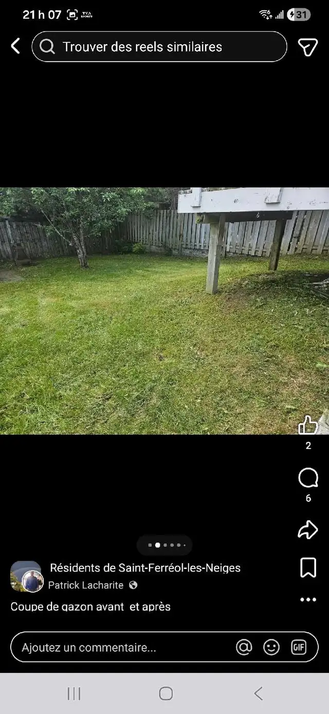 coupe de gazon - Photo 2