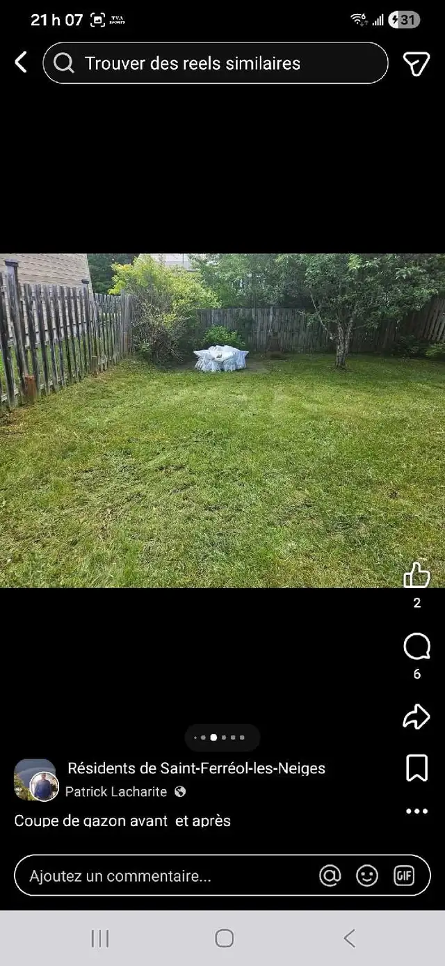 coupe de gazon - Photo 3