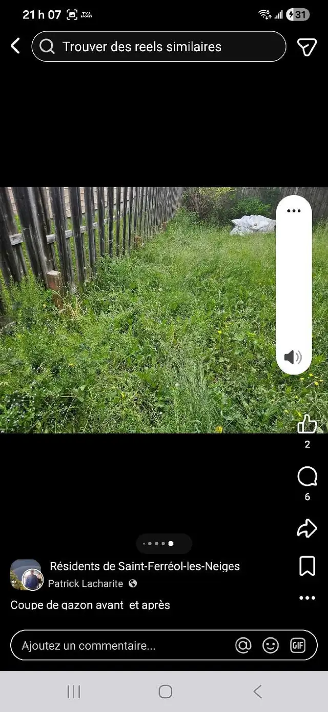 coupe de gazon - Photo 4