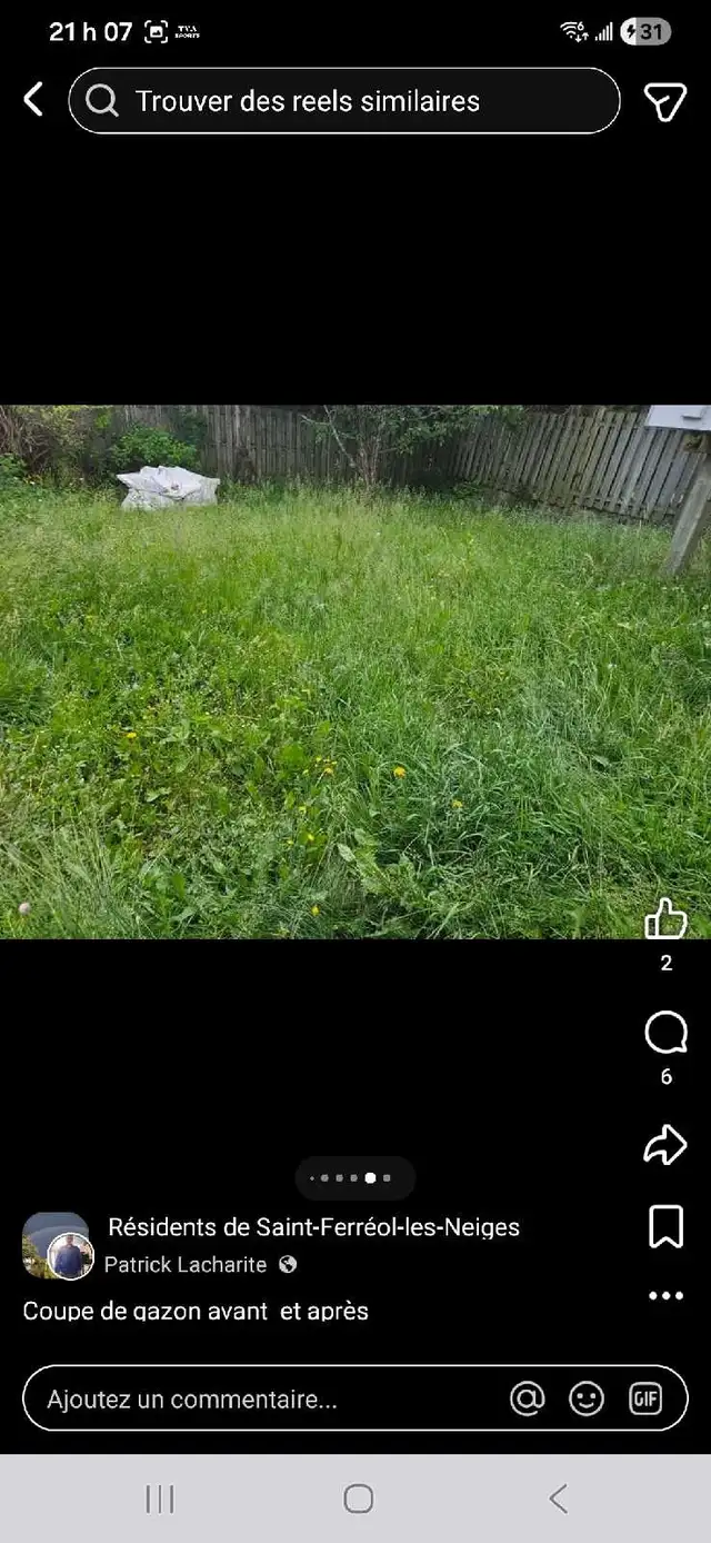 coupe de gazon - Photo 5