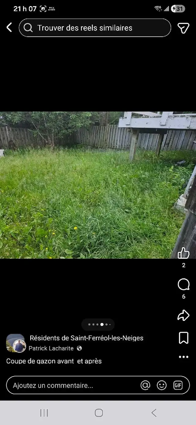 coupe de gazon - Photo 6