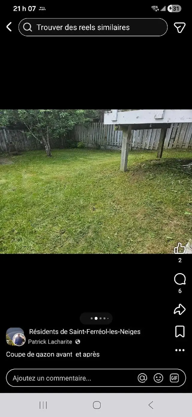 coupe de gazon - Photo 7