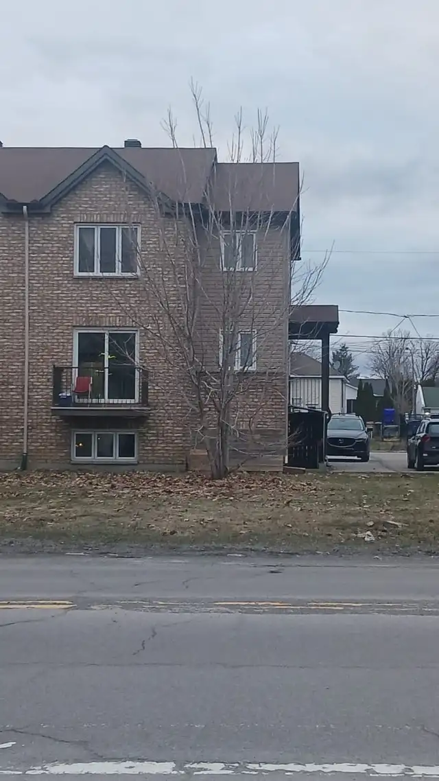 Appartement 3 chambres à louer - Photo 2