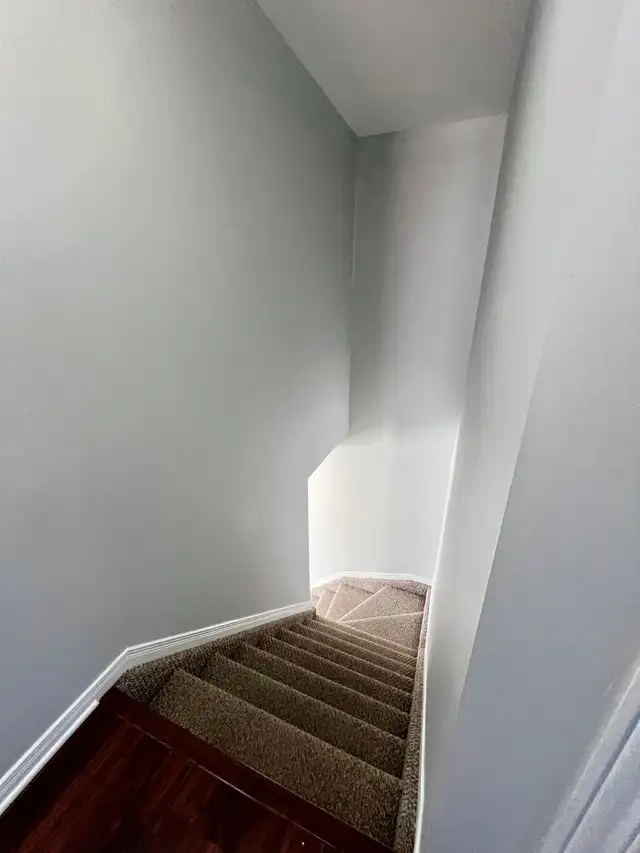 Appartement 3 chambres à louer - Photo 9