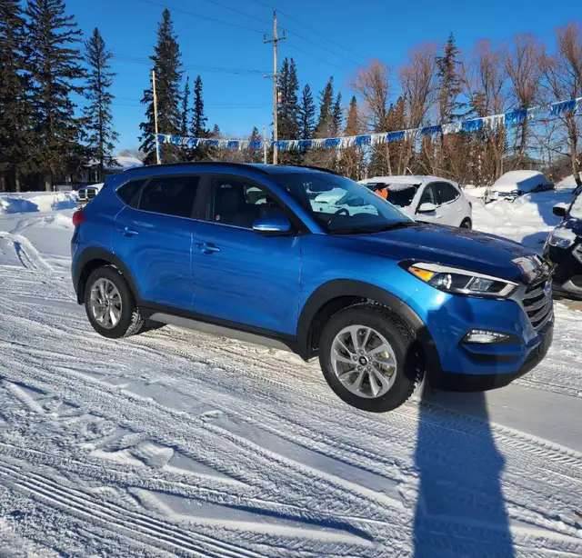 2017 Hyundai Tucson Luxury All Wheel Drive - Photo 10