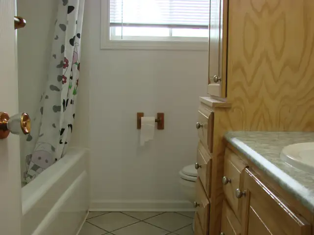 Master Bedroom Summer sublet from May to August - Photo 7