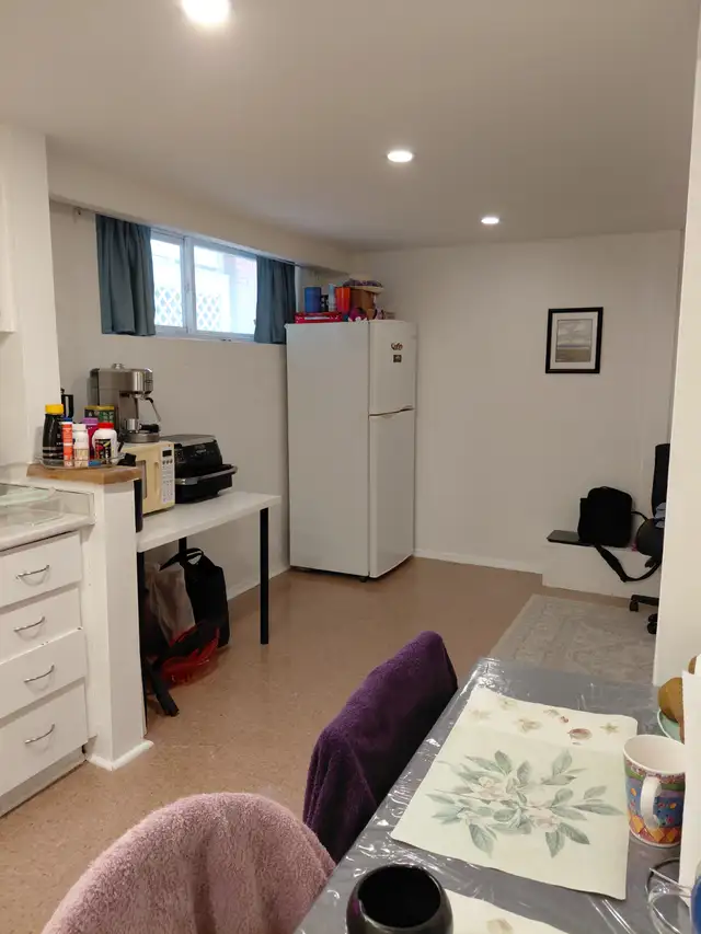 Danforth-Pape 1 bedroom cozy basement apartment $1200 - Photo 3